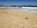 PINS_sever_Blue_and_shell_beach_surf_DSC_0044