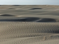 SPI Blowing sand back of the dunes mile 18 April 2014 DSC_0162 72 dpi