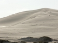 SPI Shifting dunes