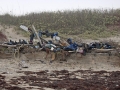 SPi beach sculpture flip flop tree destroyed by erosion